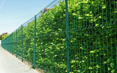Espace vert à Villeneuve-Loubet : transformez votre extérieur